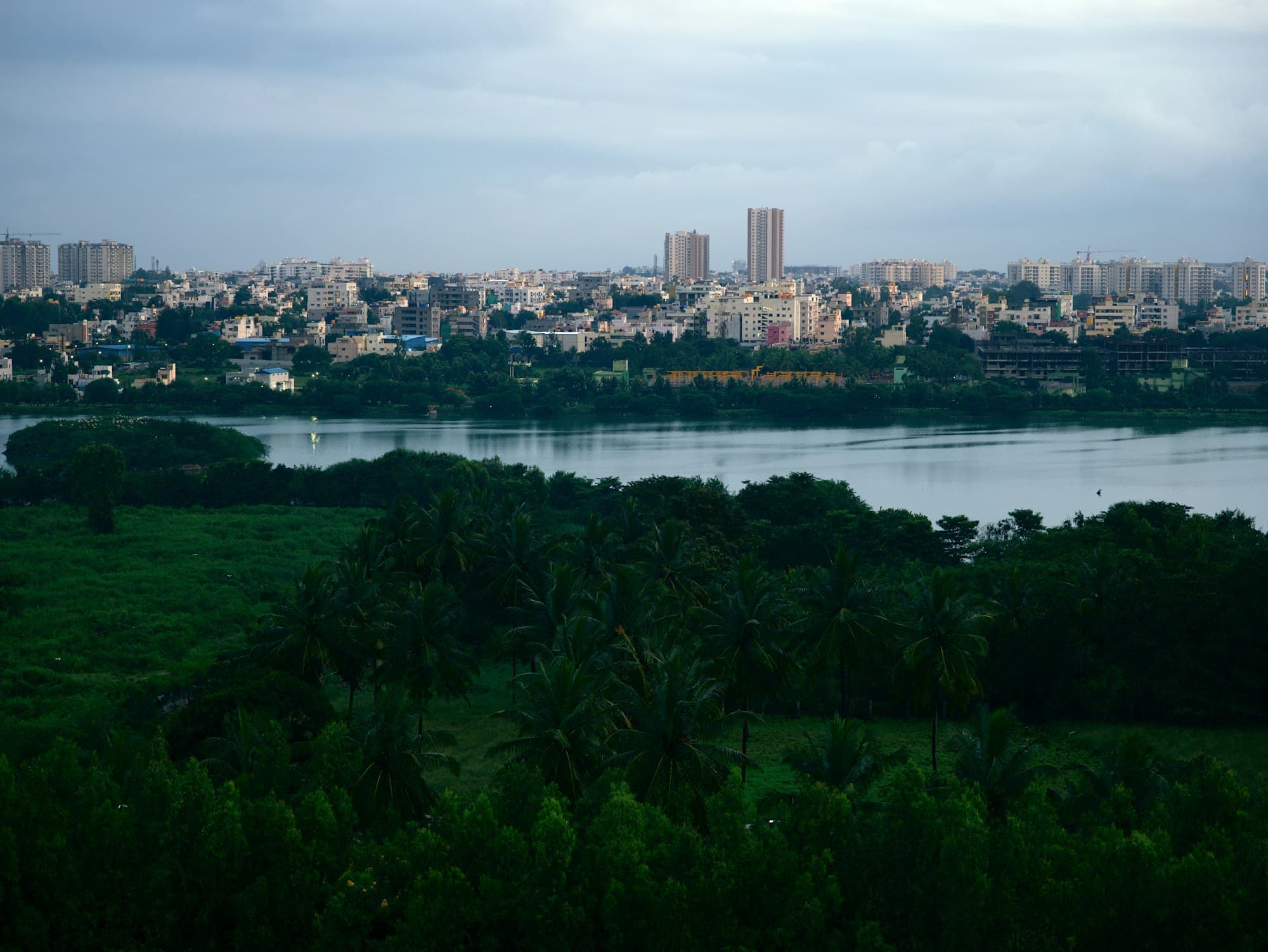 A Bengaluru lake with the city rising beyond it, photographed