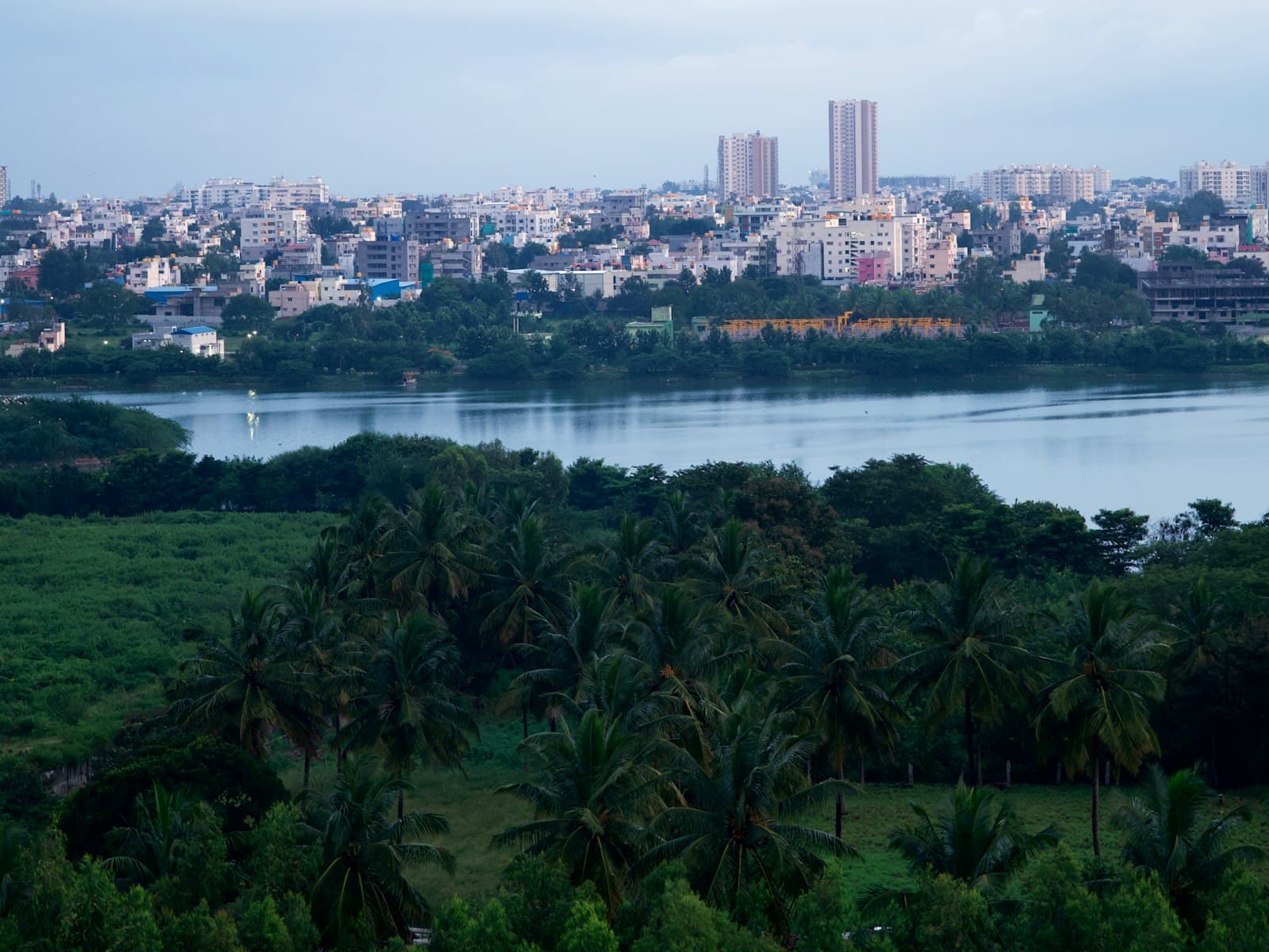 A Bengaluru lake with the city beyond it, photographed